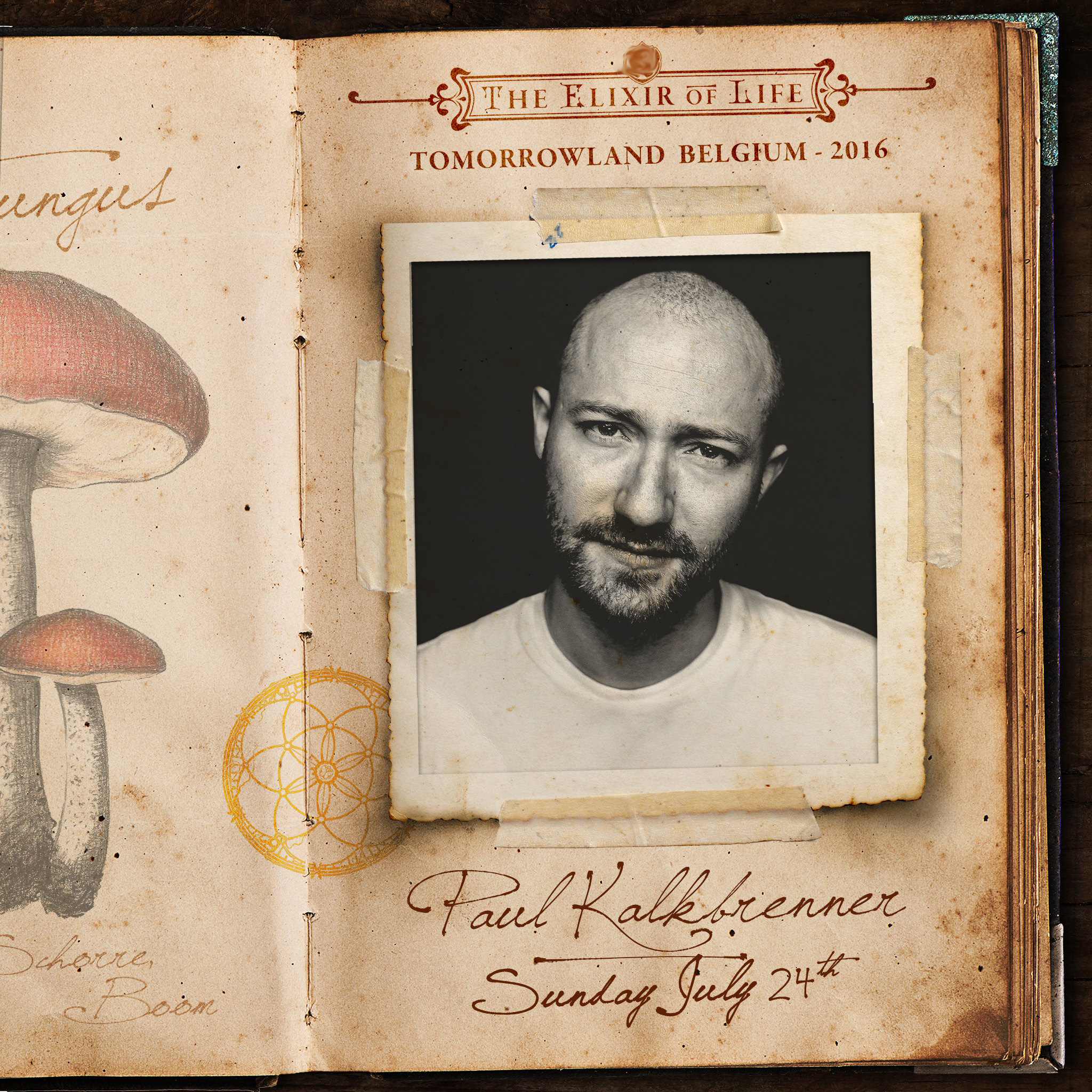 Paul Kalkbrenner 24 июля на TOMORROWLAND — TomorrowLand 2025 из Украины. Билеты и туры на